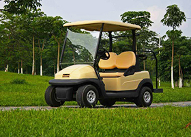 Electric Golf Cart